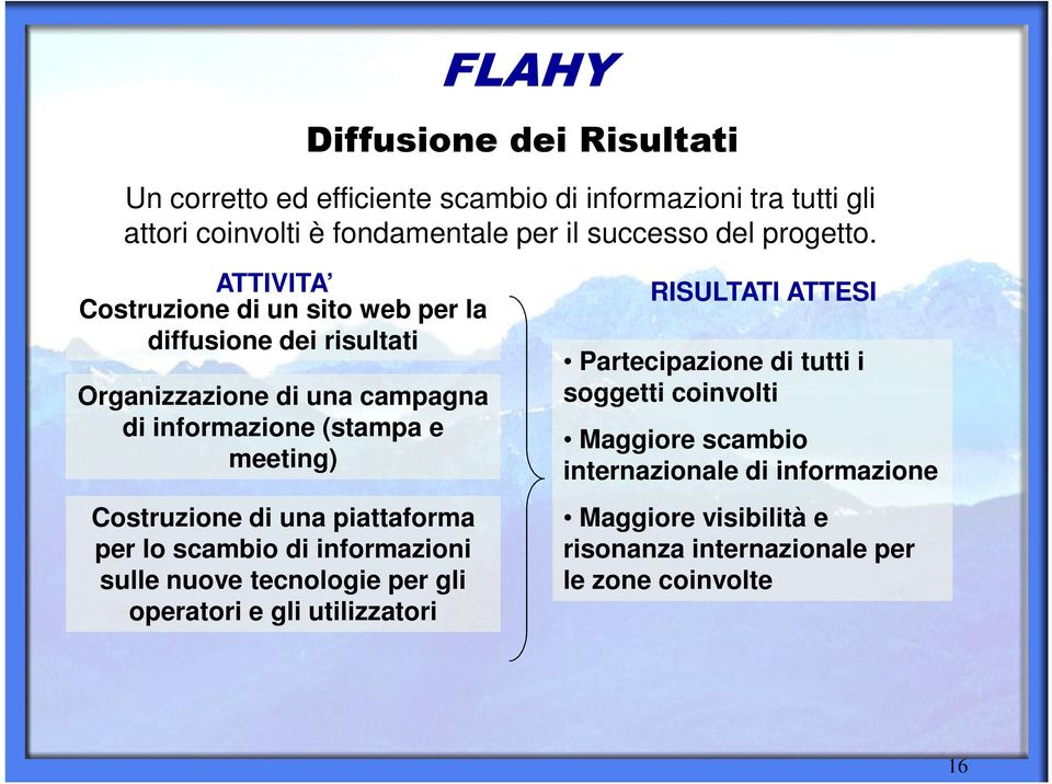 ATTIVITA Costruzione di un sito web per la diffusione dei risultati Organizzazione di una campagna di informazione (stampa e meeting) Costruzione