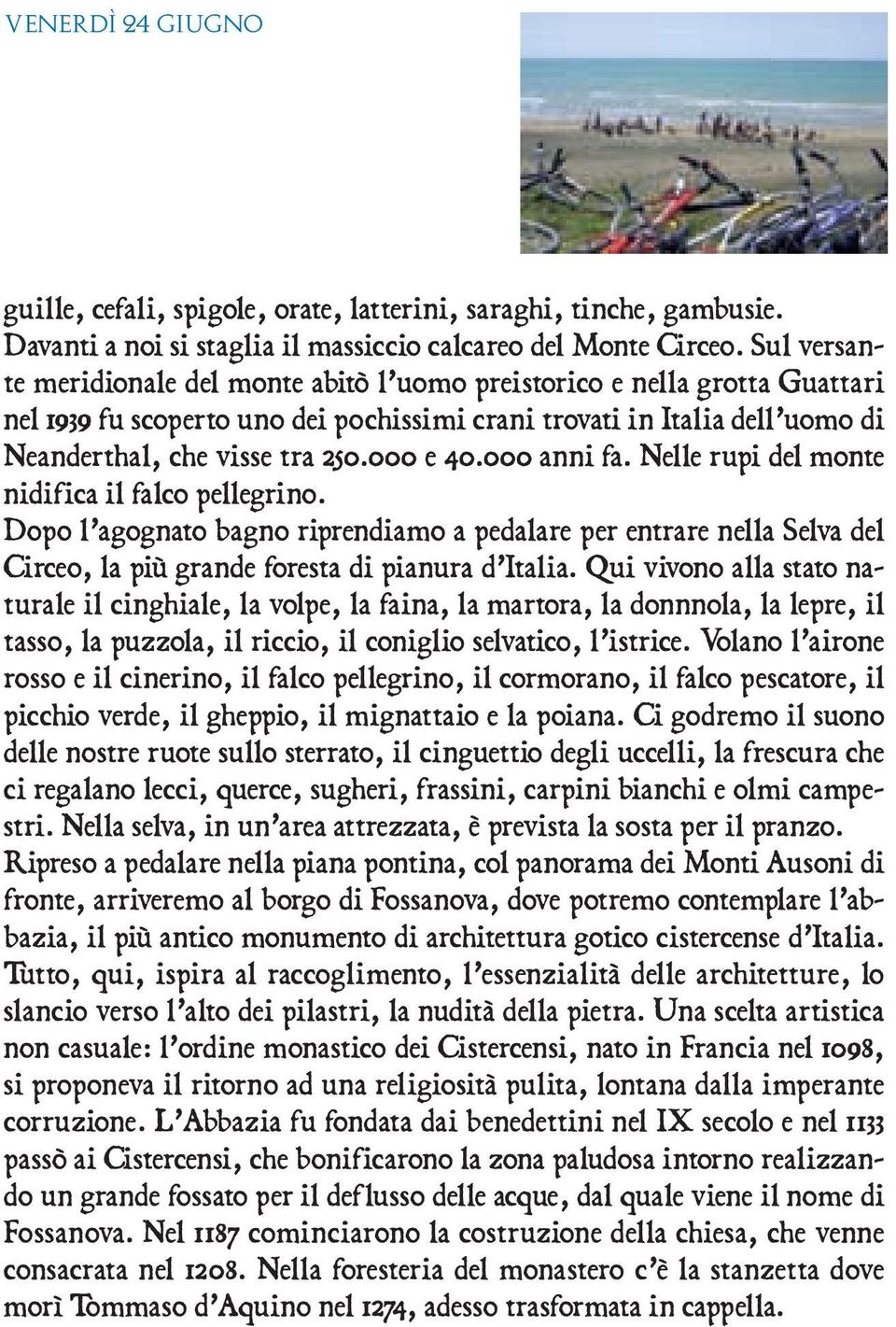 000 e 40.000 anni fa. Nelle rupi del monte nidifica il falco pellegrino. Dopo l agognato bagno riprendiamo a pedalare per entrare nella Selva del Circeo, la più grande foresta di pianura d Italia.