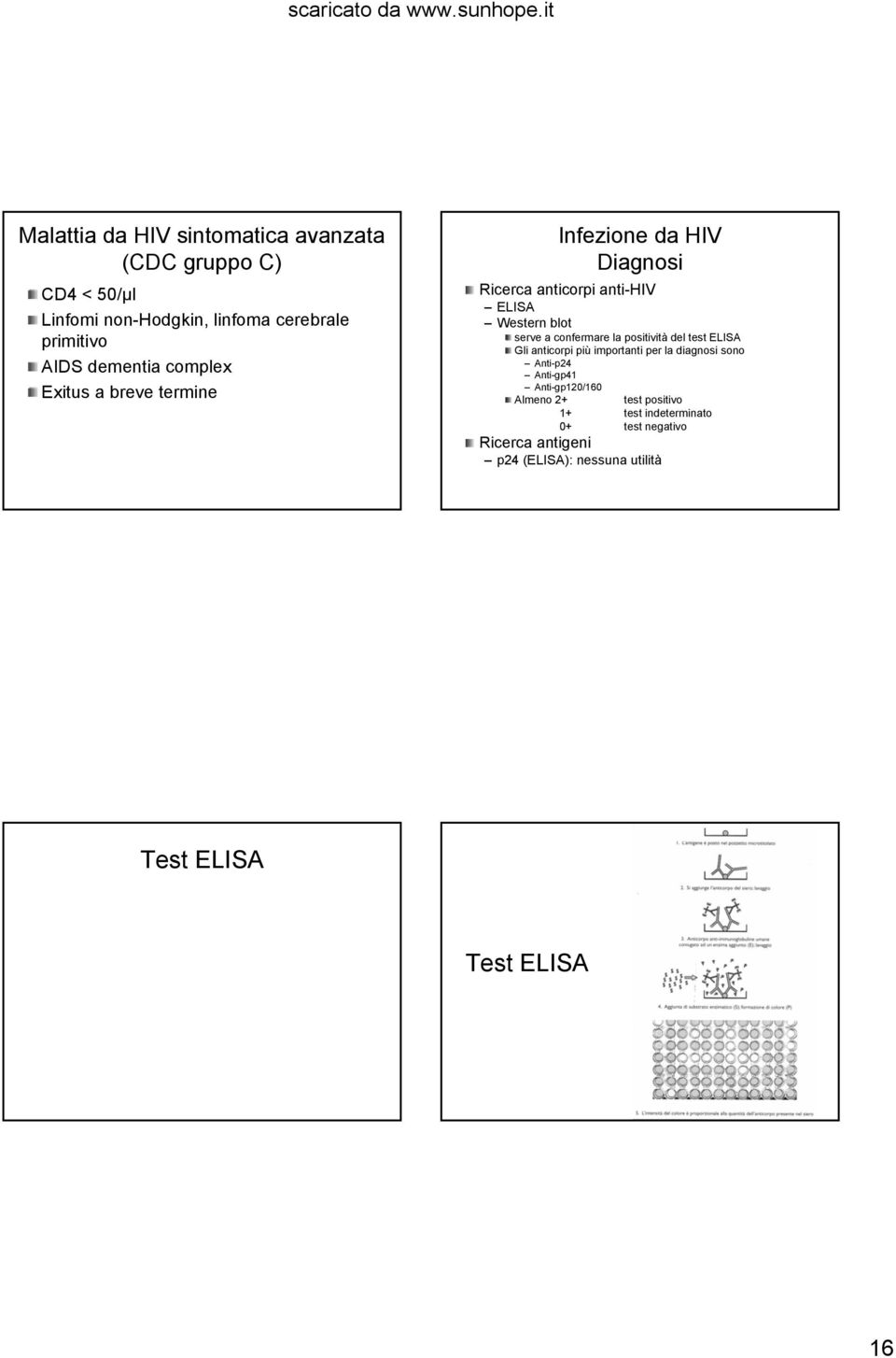 confermare la positività del test ELISA Gli anticorpi più importanti per la diagnosi sono Anti-p24 Anti-gp41 Anti-gp120/160