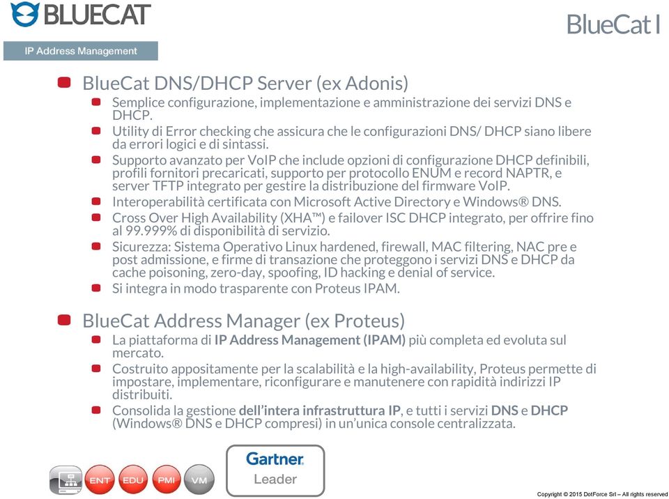 Supporto avanzato per VoIP che include opzioni di configurazione DHCP definibili, profili fornitori precaricati, supporto per protocollo ENUM e record NAPTR, e server TFTP integrato per gestire la