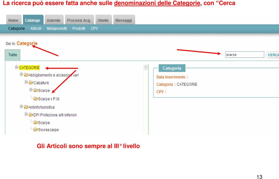 delle Categorie, con Cerca Gli