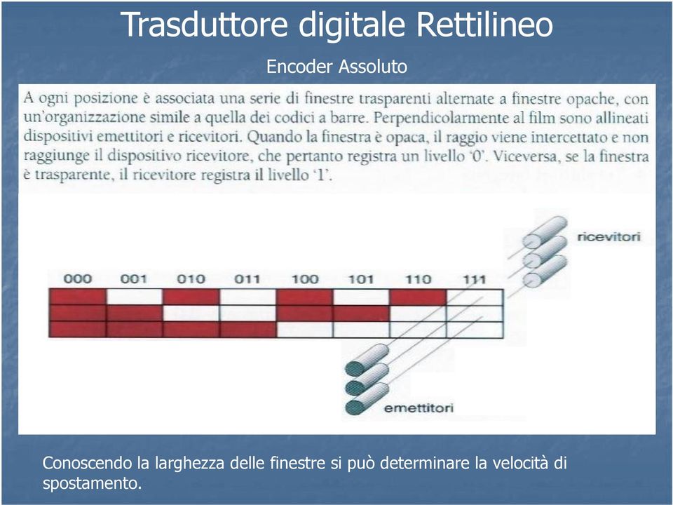 larghezza delle finestre si può