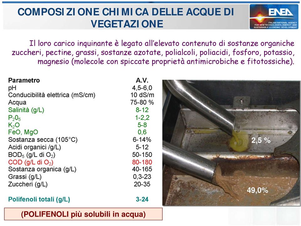 azotate, polialcoli, poliacidi, fosforo, potassio, magnesio (molecole con spiccate