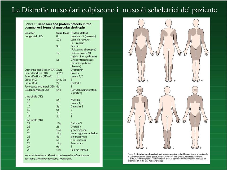 colpiscono i