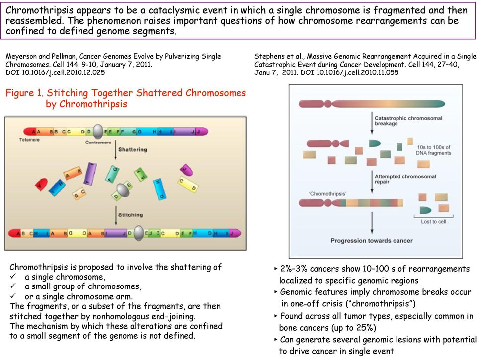 Cell 144, 9-10, January 7, 2011. DOI 10.1016/j.cell.2010.12.025 Stephens et al., Massive Genomic Rearrangement Acquired in a Single Catastrophic Event during Cancer Development.