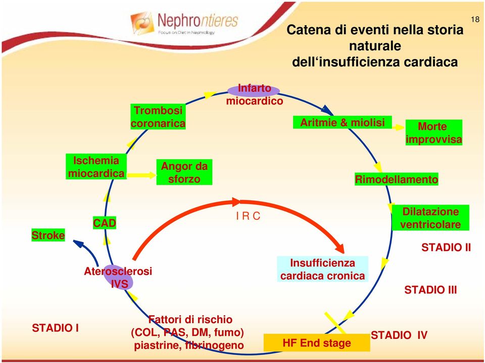 Stroke CAD Aterosclerosi IVS I R C Insufficienza cardiaca cronica Dilatazione ventricolare STADIO II