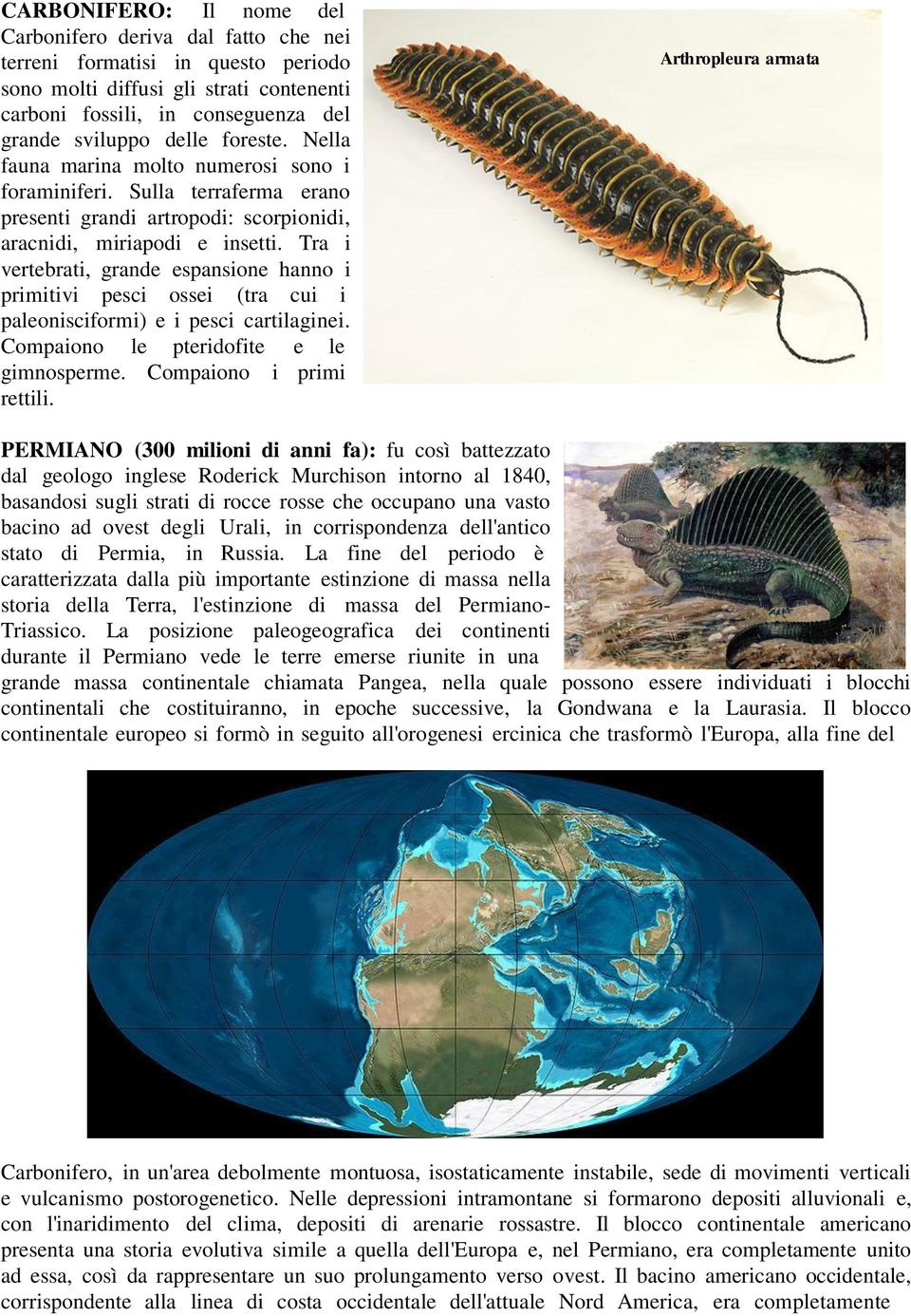 Tra i vertebrati, grande espansione hanno i primitivi pesci ossei (tra cui i paleonisciformi) e i pesci cartilaginei. Compaiono le pteridofite e le gimnosperme. Compaiono i primi rettili.