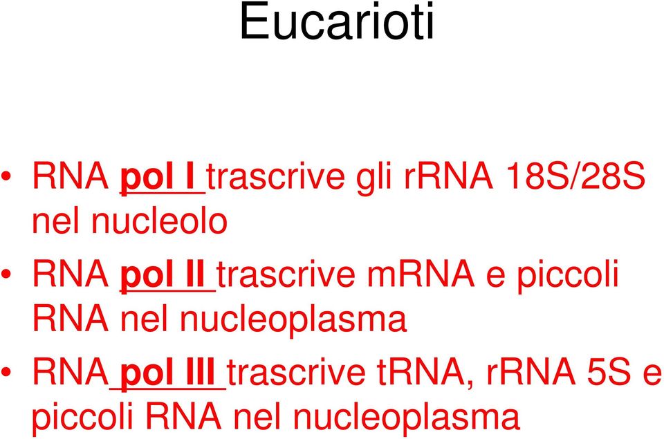 mrna e piccoli RNA nel nucleoplasma RNA pol