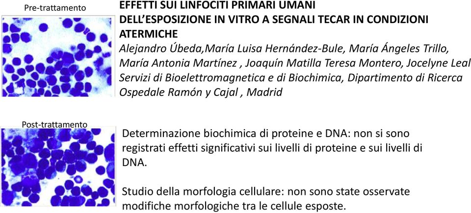 Biochimica, Dipartimento di Ricerca Ospedale Ramón y Cajal, Madrid Post-trattamento Determinazione biochimica di proteine e DNA: non si sono registrati