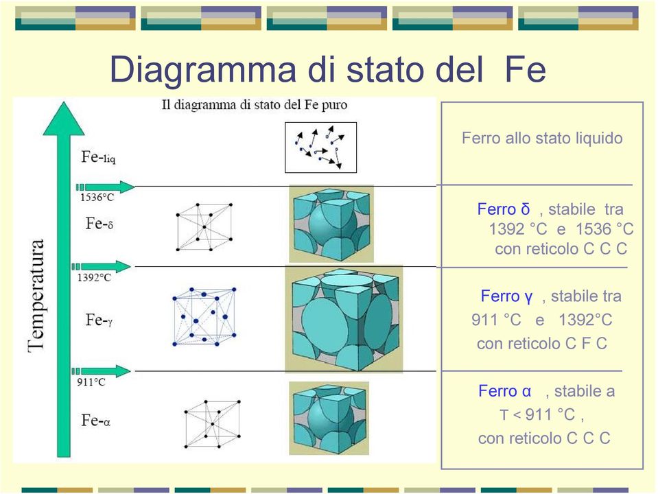 C C Ferro γ, stabile tra 911 C e 1392 C con reticolo