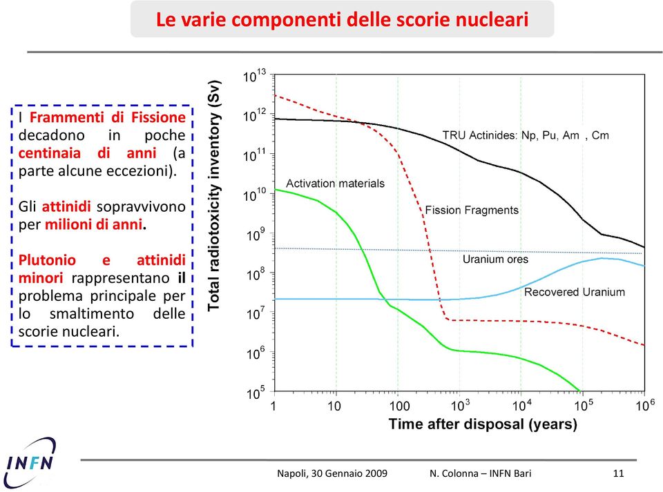 , Gli attinidi sopravvivono per milioni di anni.