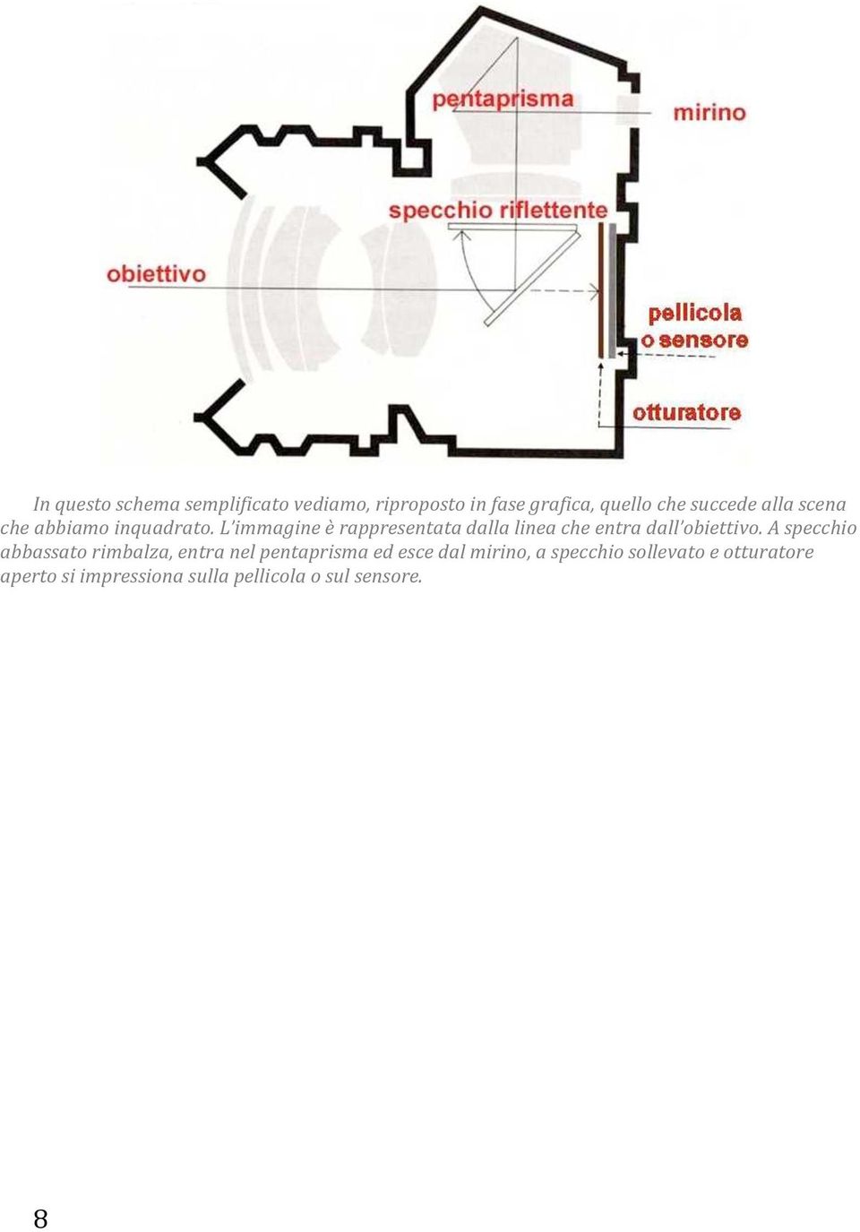 L immagine è rappresentata dalla linea che entra dall obiettivo.