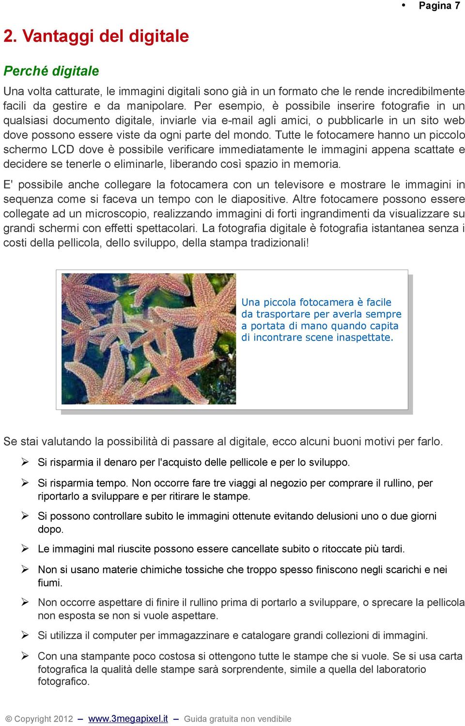 Tutte le fotocamere hanno un piccolo schermo LCD dove è possibile verificare immediatamente le immagini appena scattate e decidere se tenerle o eliminarle, liberando così spazio in memoria.