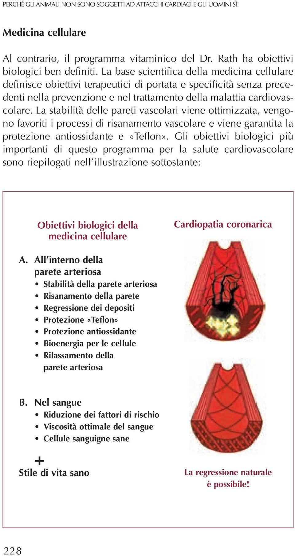 La stabilità delle pareti vascolari viene ottimizzata, vengono favoriti i processi di risanamento vascolare e viene garantita la protezione antiossidante e «Teflon».