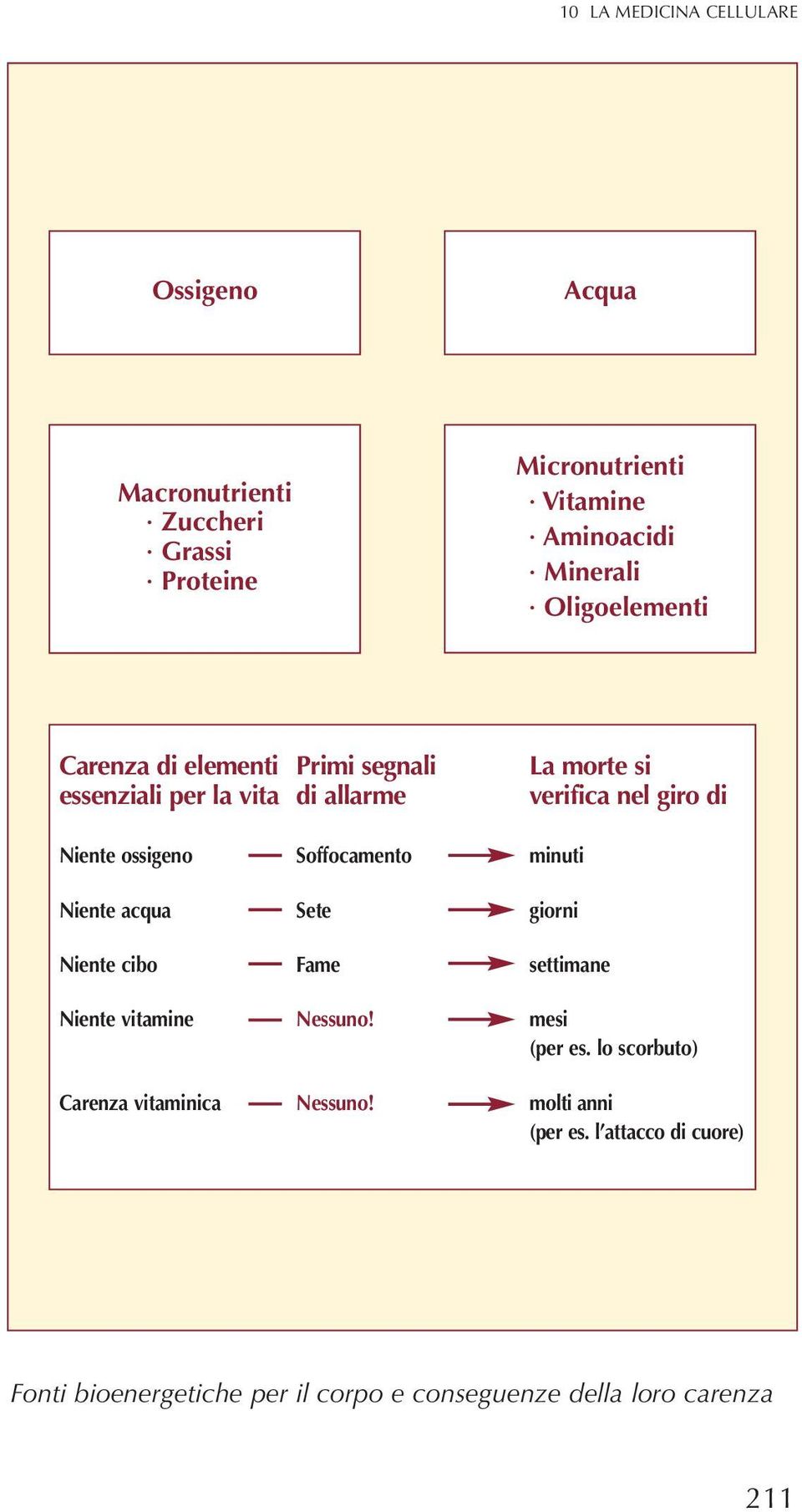 ossigeno Soffocamento minuti Niente acqua Sete giorni Niente cibo Fame settimane Niente vitamine Nessuno! mesi (per es.