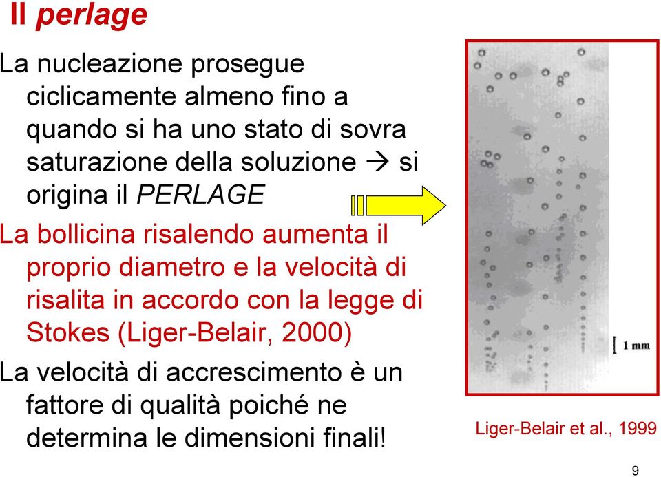 diametro e la velocità di risalita in accordo con la legge di Stokes (Liger-Belair, 2000) La