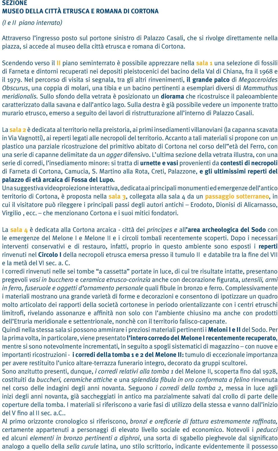 Scendendo verso il II piano seminterrato è possibile apprezzare nella sala 1 una selezione di fossili di Farneta e dintorni recuperati nei depositi pleistocenici del bacino della Val di Chiana, fra