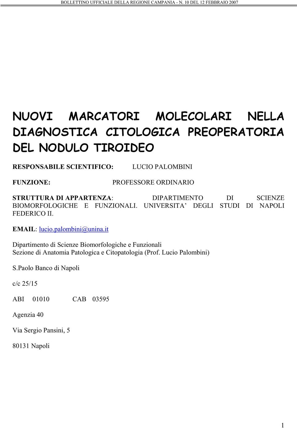 UNIVERSITA DEGLI STUDI DI NAPOLI FEDERICO II. EMAIL: lucio.palombini@unina.