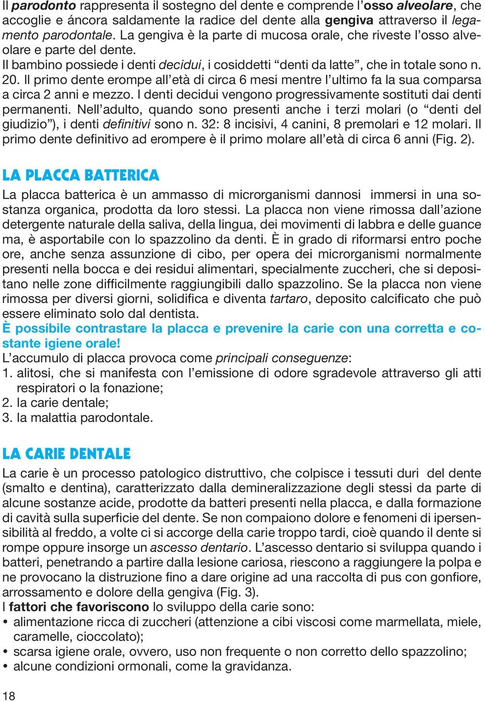 Il primo dente erompe all età di circa 6 mesi mentre l ultimo fa la sua comparsa a circa 2 anni e mezzo. I denti decidui vengono progressivamente sostituti dai denti permanenti.