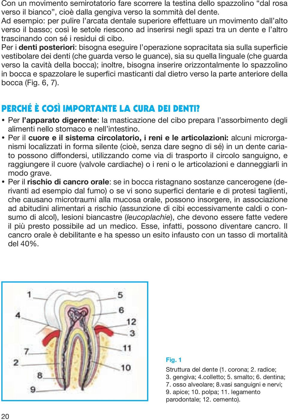 residui di cibo.