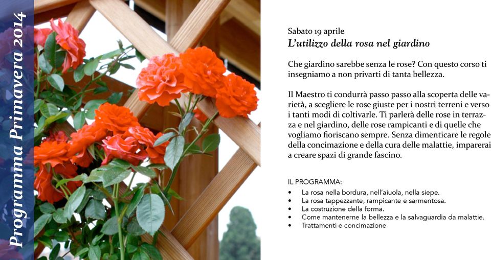 Ti parlerà delle rose in terrazza e nel giardino, delle rose rampicanti e di quelle che A#3*&/+#(F#%&!"/)#(!