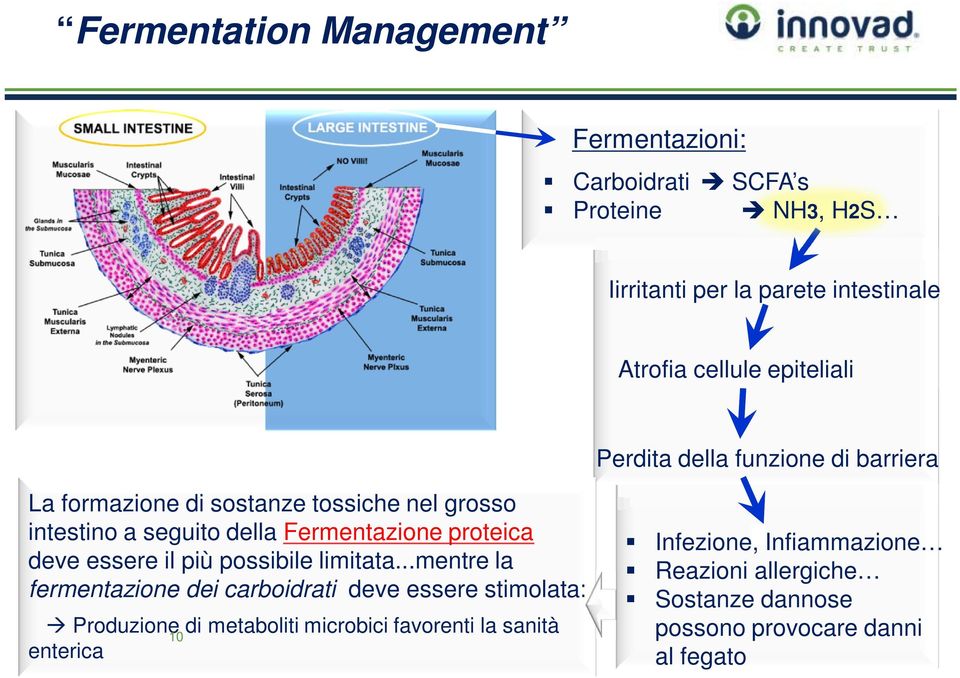 proteica deve essere il più possibile limitata.