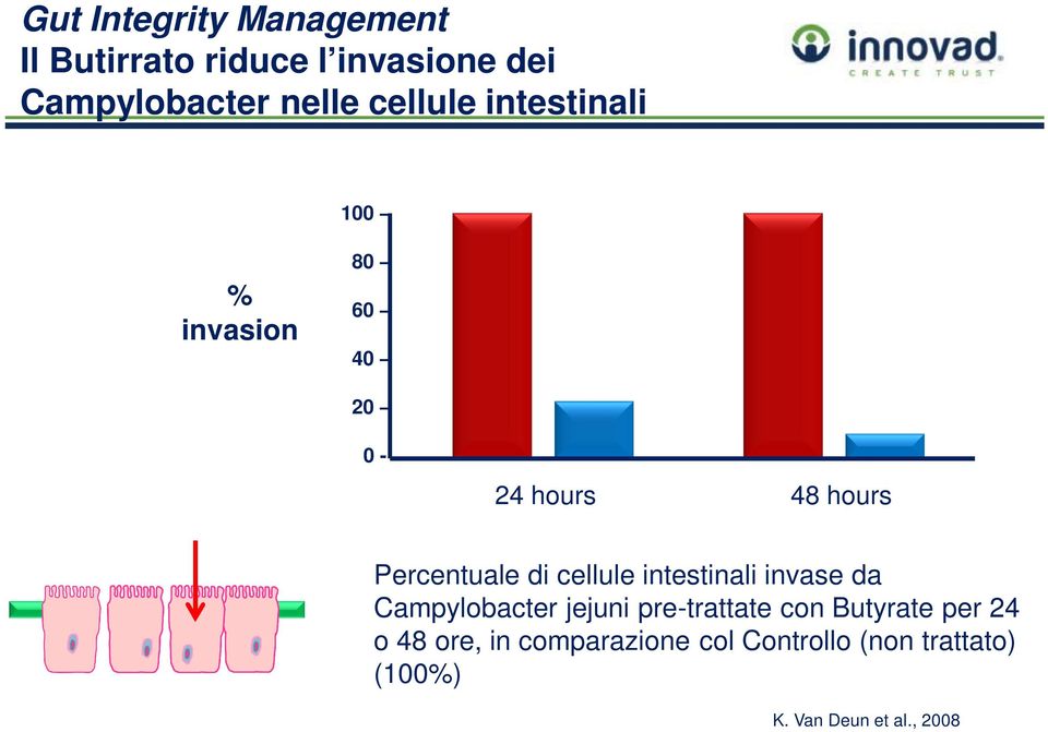 cellule intestinali invase da Campylobacter jejuni pre-trattate con Butyrate per 24