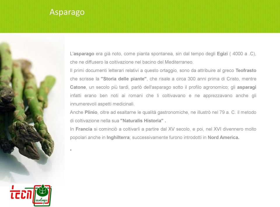 secolo più tardi, parlò dell'asparago sotto il profilo agronomico; gli asparagi infatti erano ben noti ai romani che li coltivavano e ne apprezzavano anche gli innumerevoli aspetti medicinali.