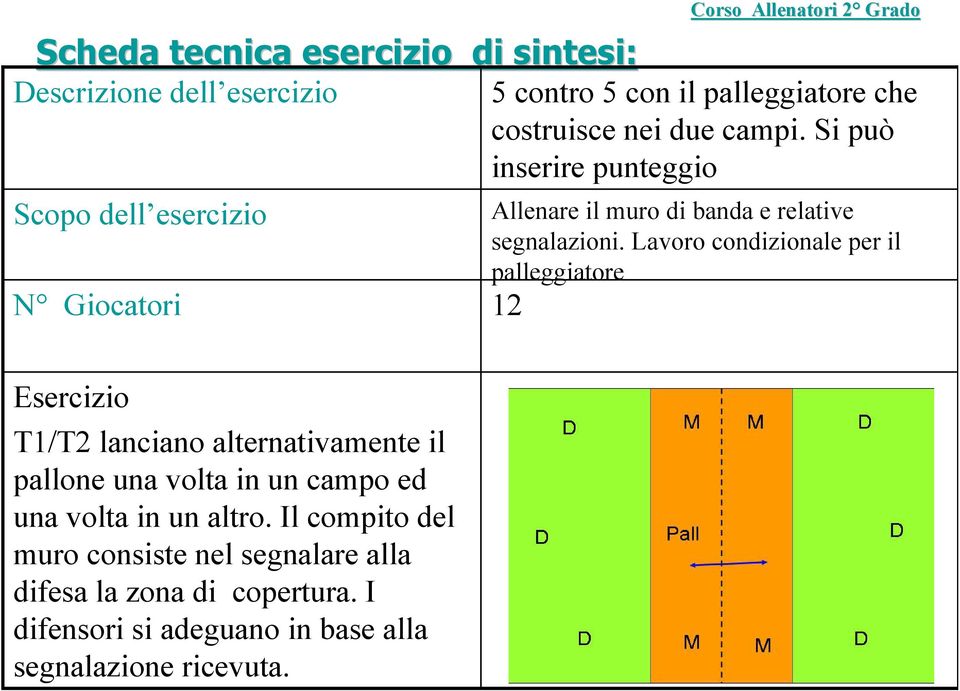 Lavoro condizionale per il palleggiatore 12 Esercizio T1/T2 lanciano alternativamente il pallone una volta in un campo ed una