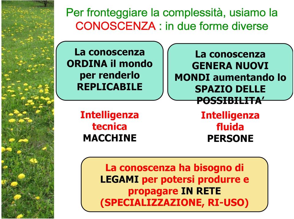 GENERA NUOVI MONDI aumentando lo SPAZIO DELLE POSSIBILITA Intelligenza fluida PERSONE La