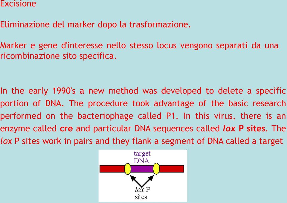 In the early 1990's a new method was developed to delete a specific portion of DNA.