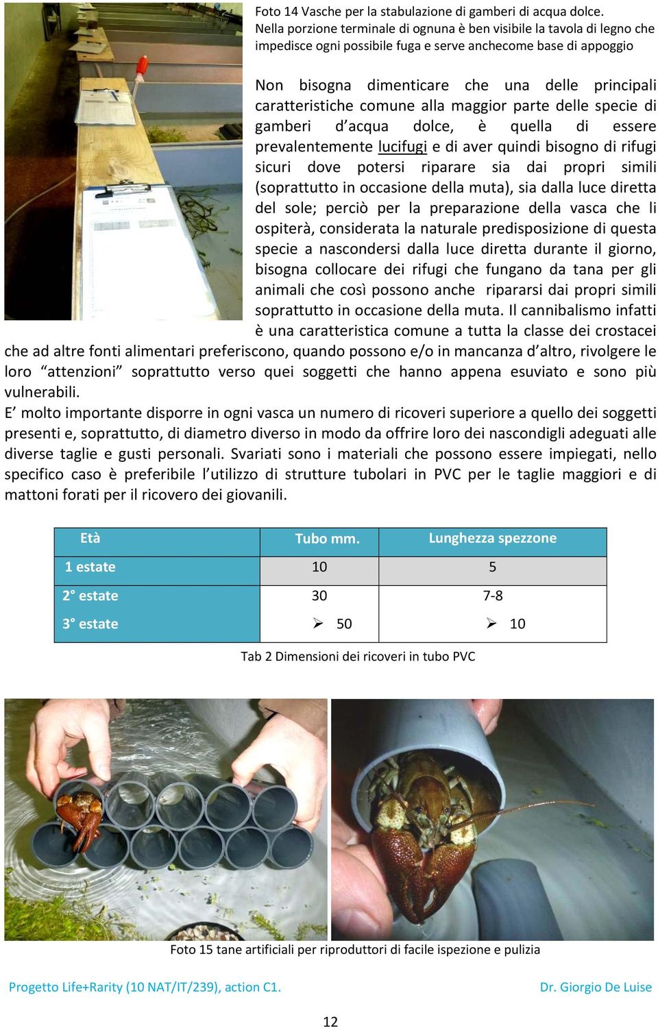 caratteristiche comune alla maggior parte delle specie di gamberi d acqua dolce, è quella di essere prevalentemente lucifugi e di aver quindi bisogno di rifugi sicuri dove potersi riparare sia dai