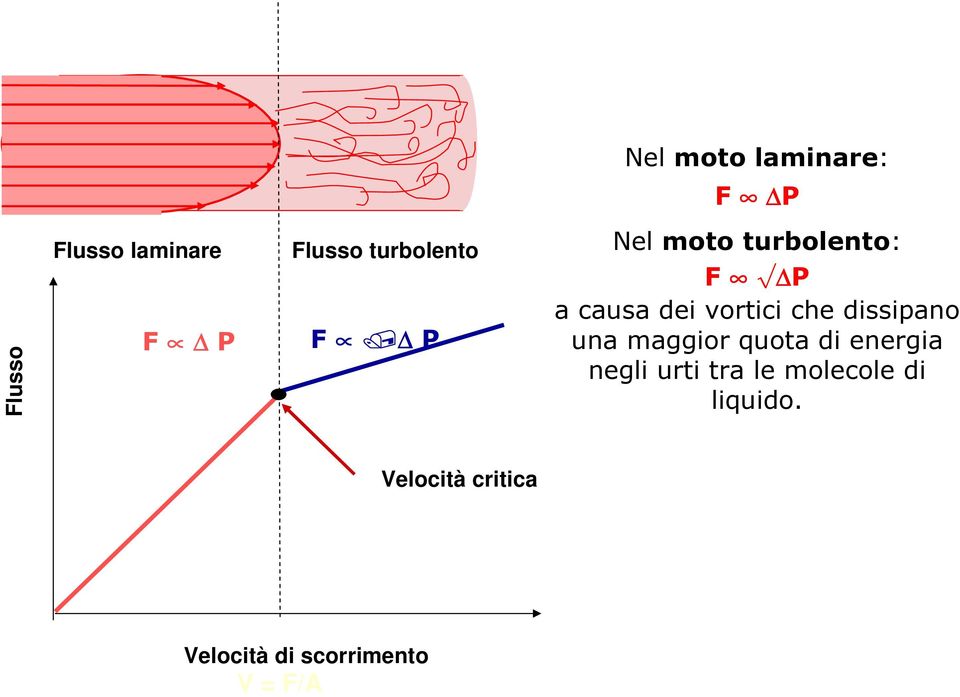 che dissipano una maggior quota di energia negli urti tra le