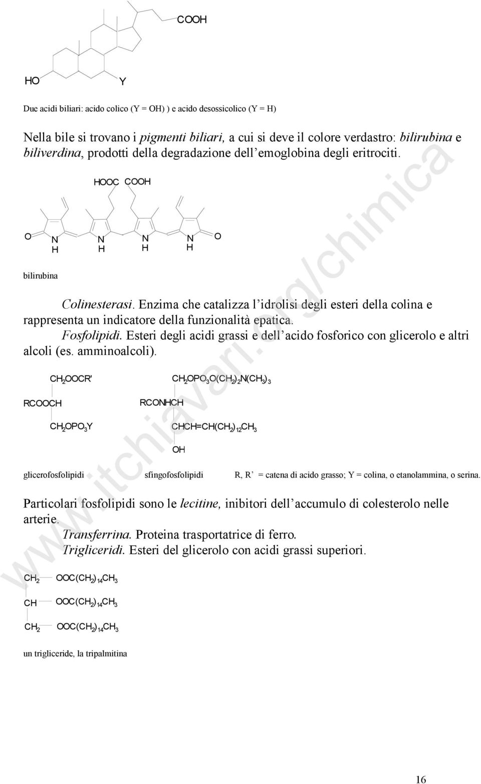 Fosfolipidi. Esteri degli acidi grassi e dell acido fosforico con glicerolo e altri alcoli (es. amminoalcoli).