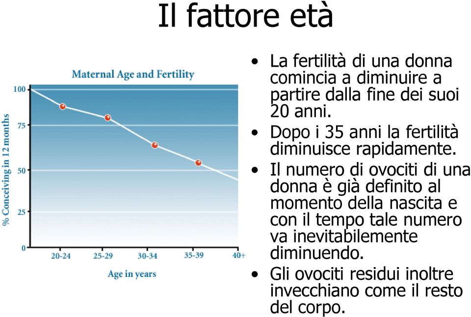 Il numero di ovociti di una donna è già definito al momento della nascita e con il