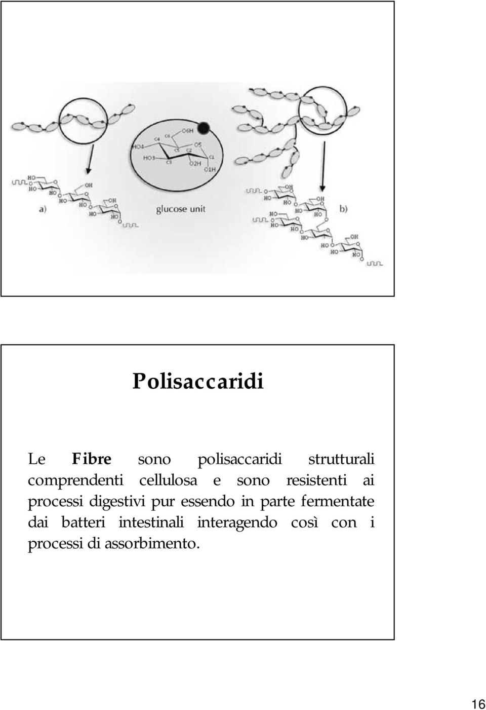 digestivi pur essendo in parte fermentate dai batteri