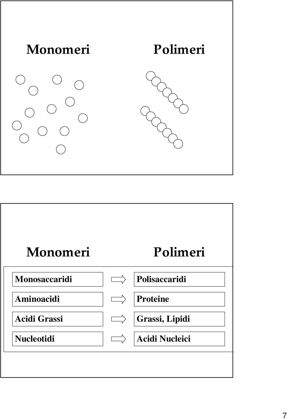 Grassi Nucleotidi Polimeri