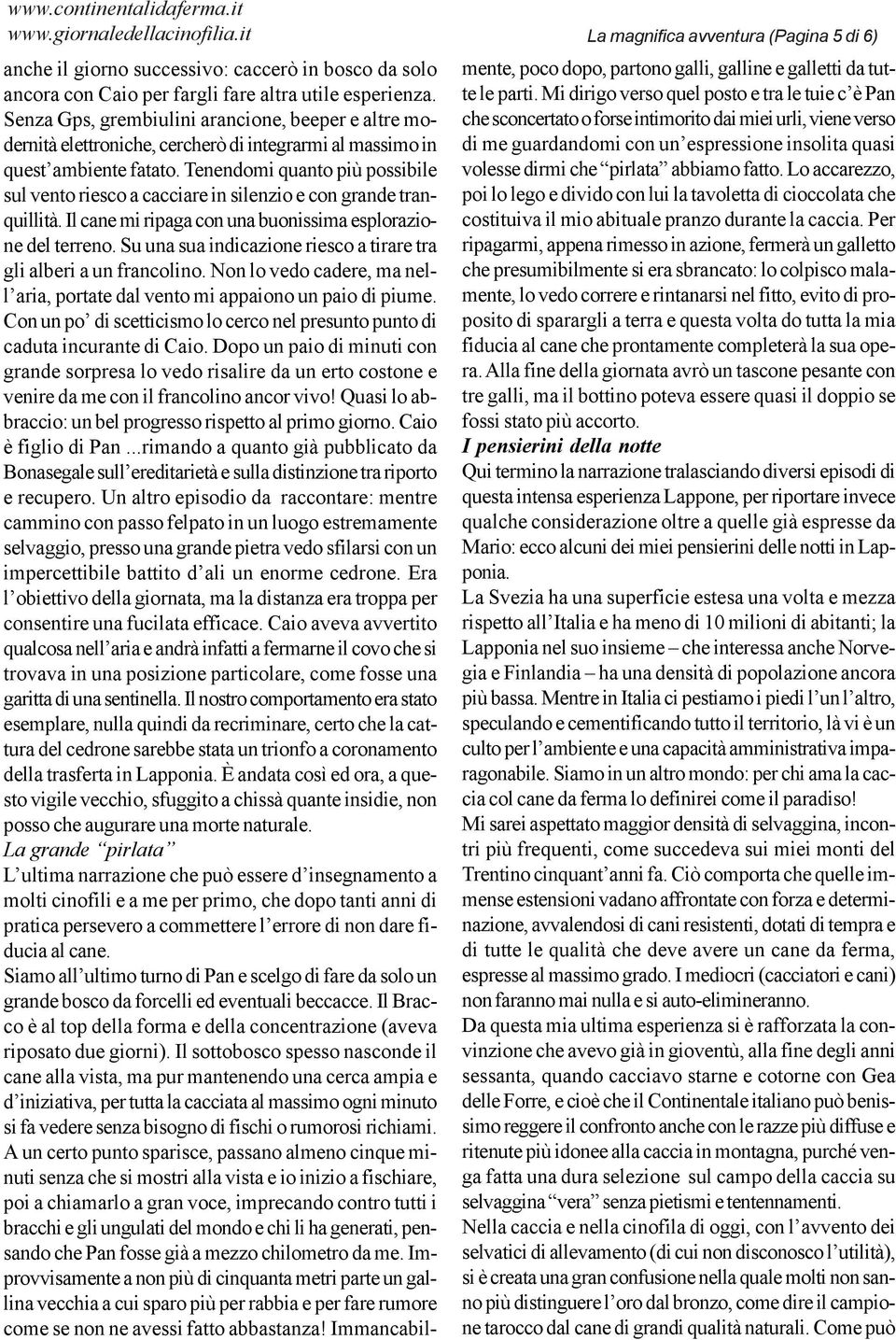 Tenendomi quanto più possibile sul vento riesco a cacciare in silenzio e con grande tranquillità. Il cane mi ripaga con una buonissima esplorazione del terreno.