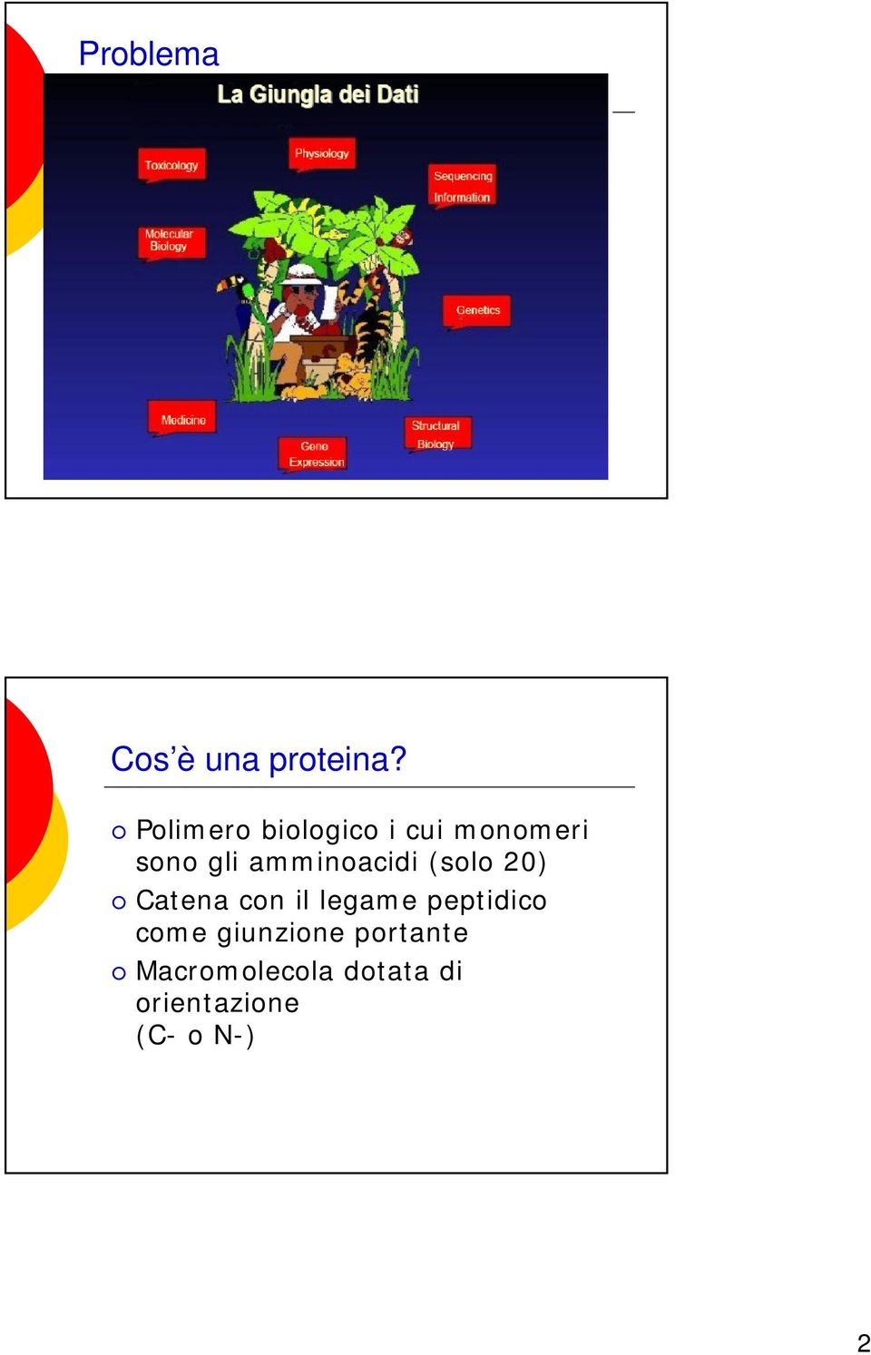 amminoacidi (solo 20) Catena con il legame