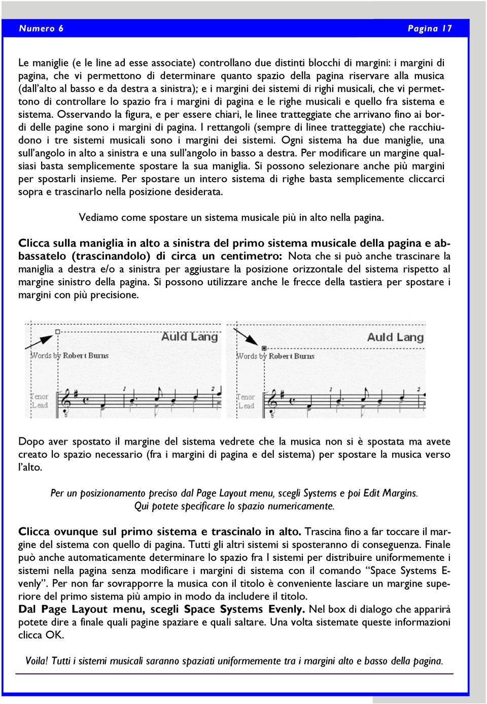 sistema e sistema. Osservando la figura, e per essere chiari, le linee tratteggiate che arrivano fino ai bordi delle pagine sono i margini di pagina.