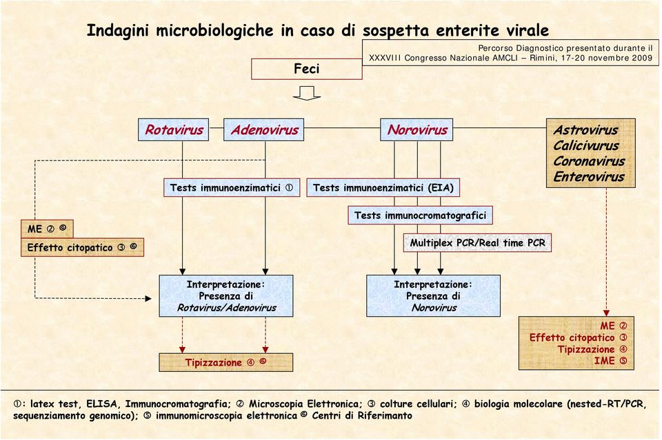 Rotavirus/Adenovirus Tipizzazione Interpretazione: Presenza di Norovirus ME Effetto citopatico Tipizzazione IME 5 : latex test, ELISA,