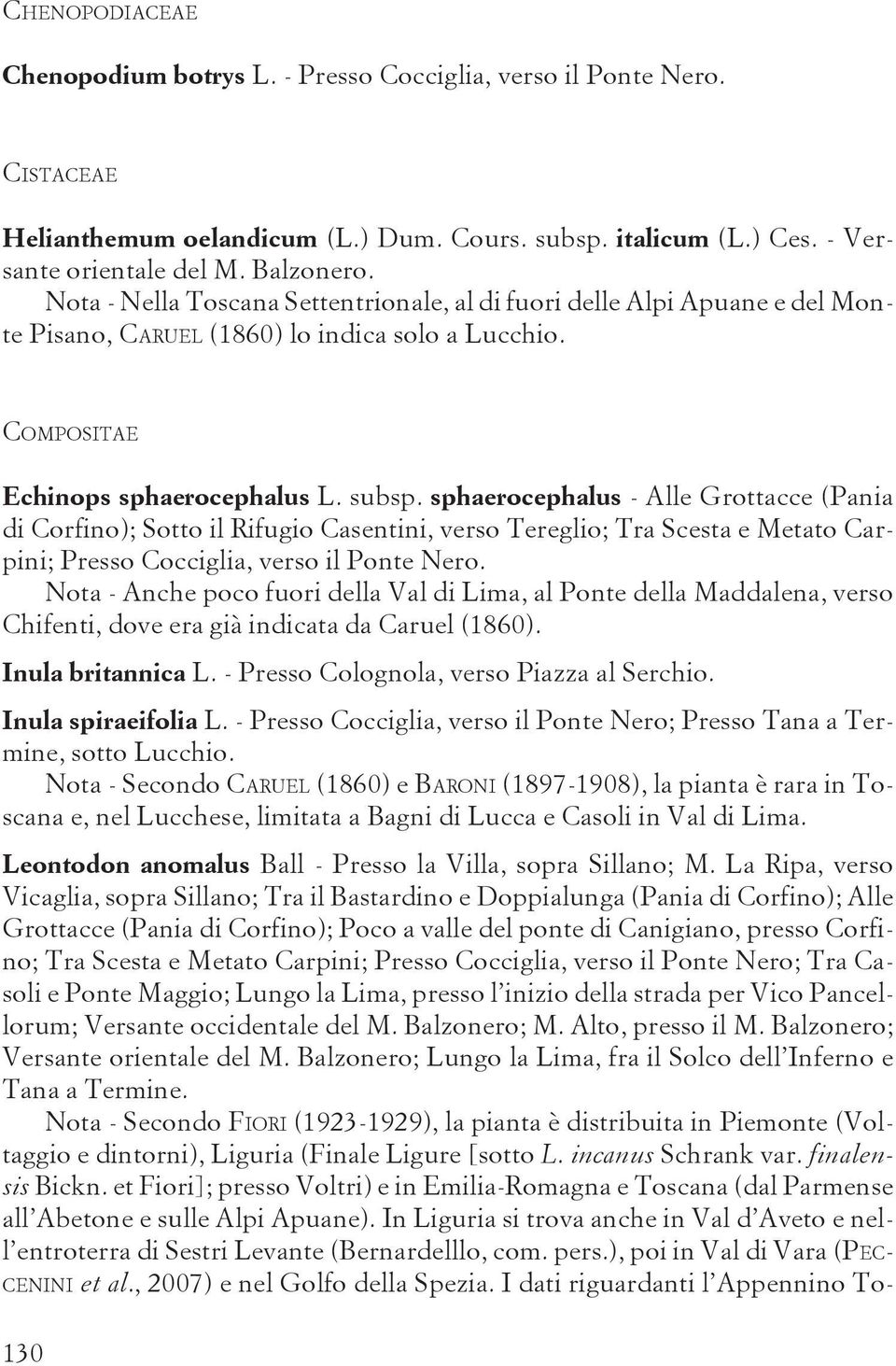 sphaerocephalus - Alle Grottacce (Pania di Corfino); Sotto il Rifugio Casentini, verso Tereglio; Tra Scesta e Metato Carpini; Presso Cocciglia, verso il Ponte Nero.