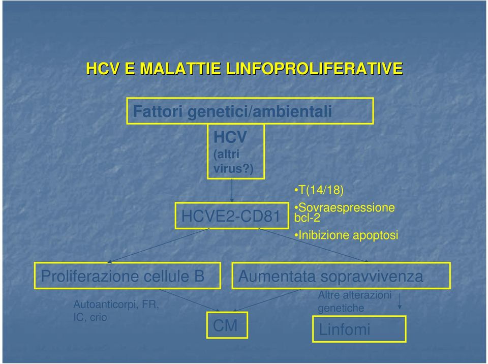 ) HCVE2-CD81 T(14/18) Sovraespressione bcl-2 Inibizione apoptosi