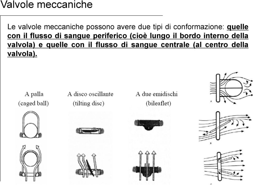 periferico (cioè lungo il bordo interno della valvola) e