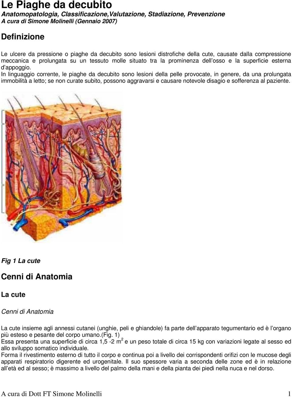 In linguaggio corrente, le piaghe da decubito sono lesioni della pelle provocate, in genere, da una prolungata immobilità a letto; se non curate subito, possono aggravarsi e causare notevole disagio