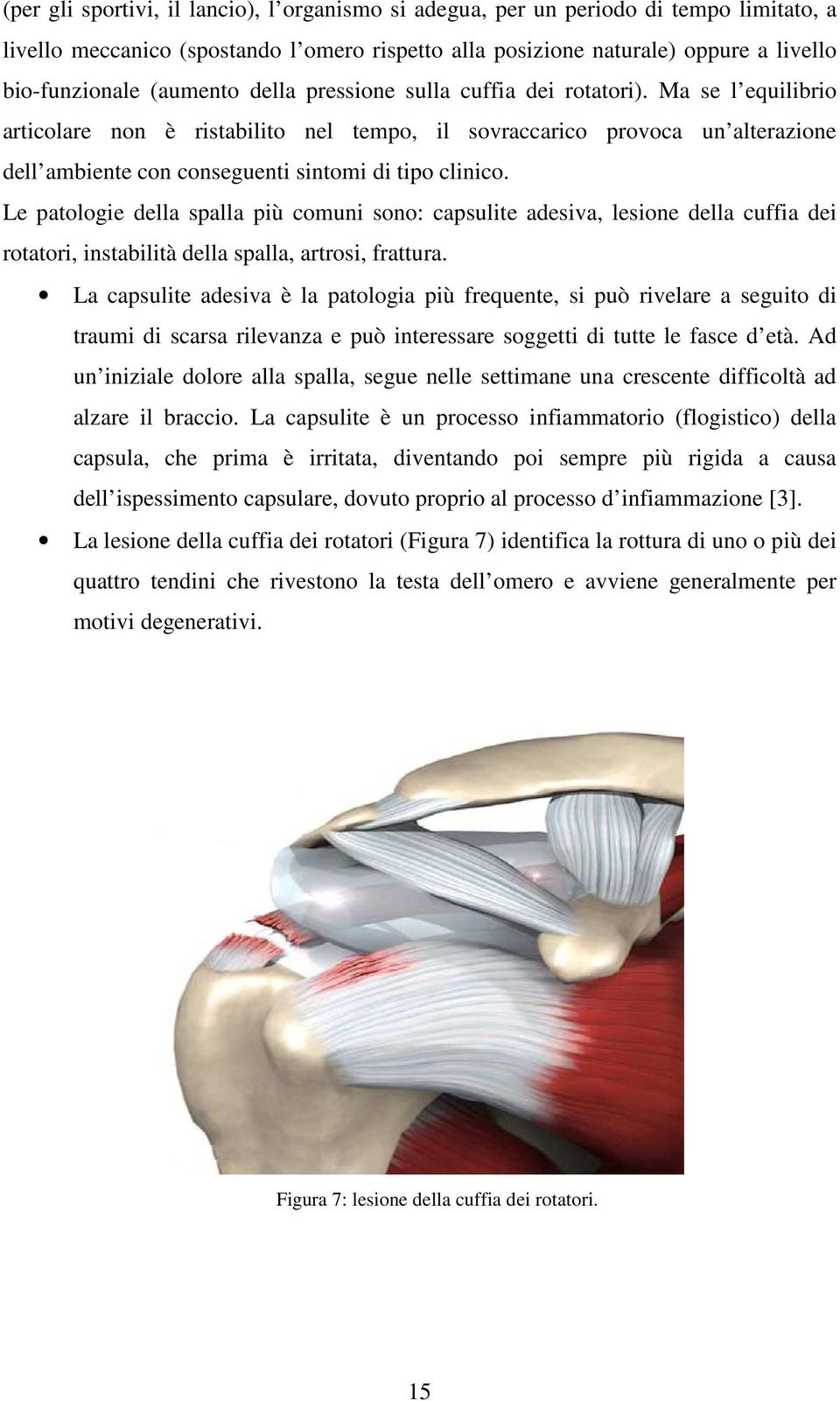 Ma se l equilibrio articolare non è ristabilito nel tempo, il sovraccarico provoca un alterazione dell ambiente con conseguenti sintomi di tipo clinico.