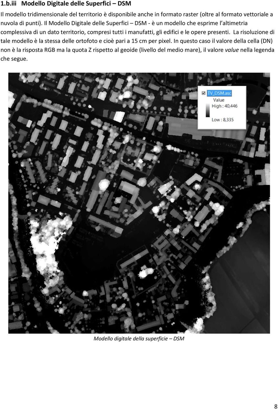 Il Modello Digitale delle Superfici DSM - è un modello che esprime l altimetria complessiva di un dato territorio, compresi tutti i manufatti, gli edifici e le