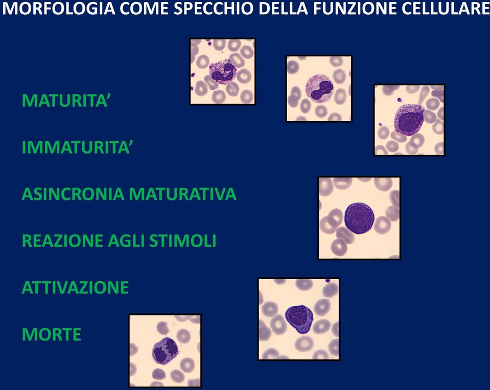 IMMATURITA ASINCRONIA MATURATIVA