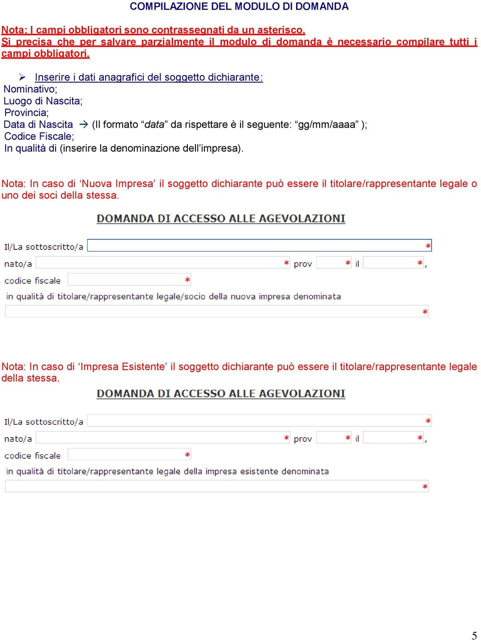 Inserire i dati anagrafici del soggetto dichiarante: Nominativo; Luogo di Nascita; Provincia; Data di Nascita (Il formato data da rispettare è il seguente: gg/mm/aaaa );