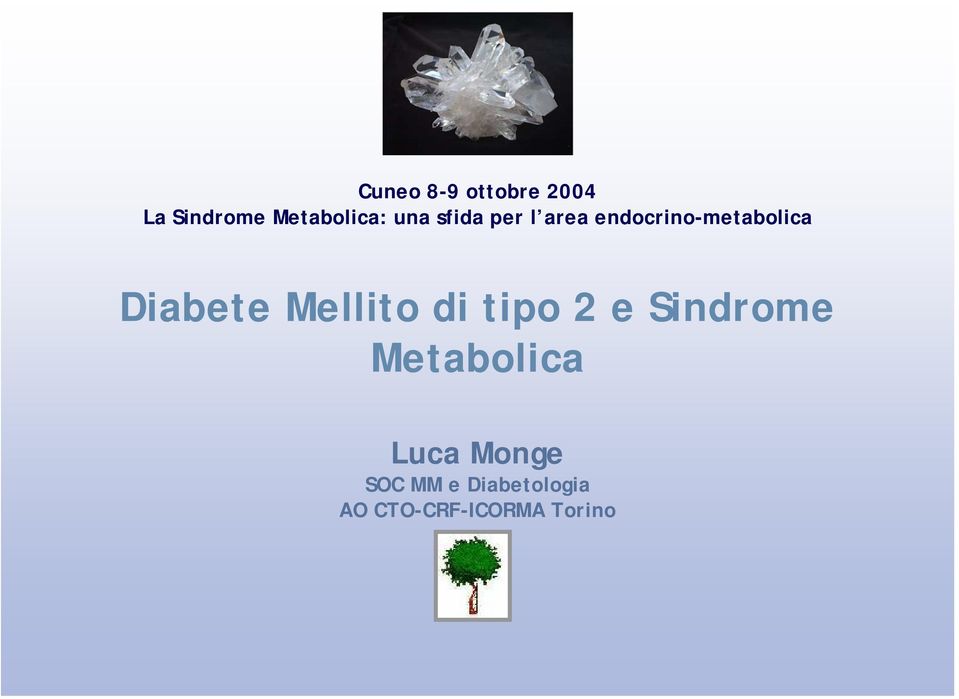 Diabete Mellito di tipo 2 e Sindrome Metabolica